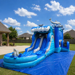 Dolphin Combo at BISON PARTY RENTAL